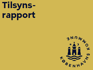 Grafik tilsynsrapport